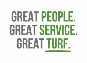 The Great Lawn Company_Turf Preparation Lawn Replacements New Build Lawn Installations