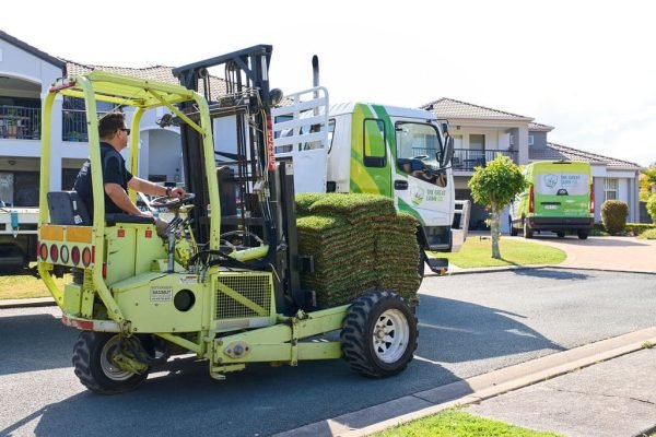 Turf delivery brisbane gold coast redlands ipswich logan sir walter buffalo zoysia empire blue couch wintergreen couch