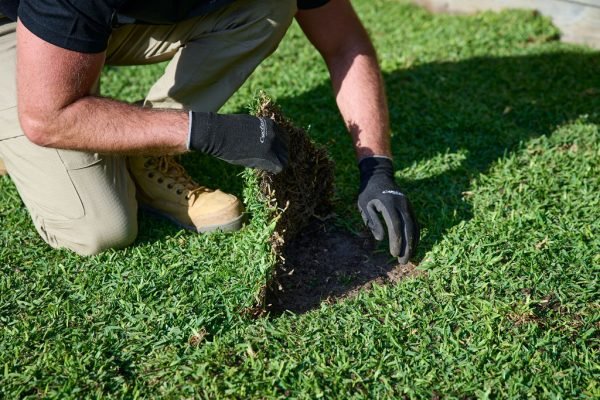 Tuxedo Junction Turf Laying Company Great Reviews Reliable
