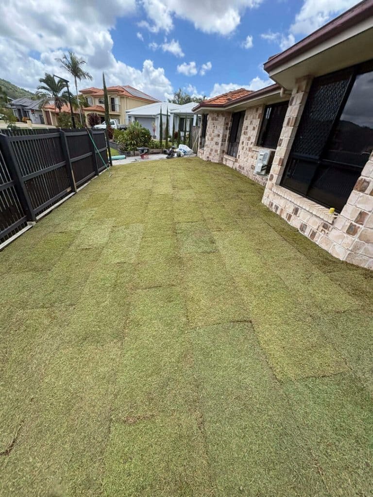 Brisbane turf replacement Services_the Great lawn Co