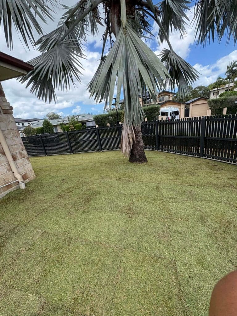 Gold coast Turf installation project_The Great lawn Co