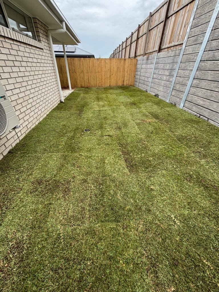 Ipswich New Build landscaping project_The Great lawn Co